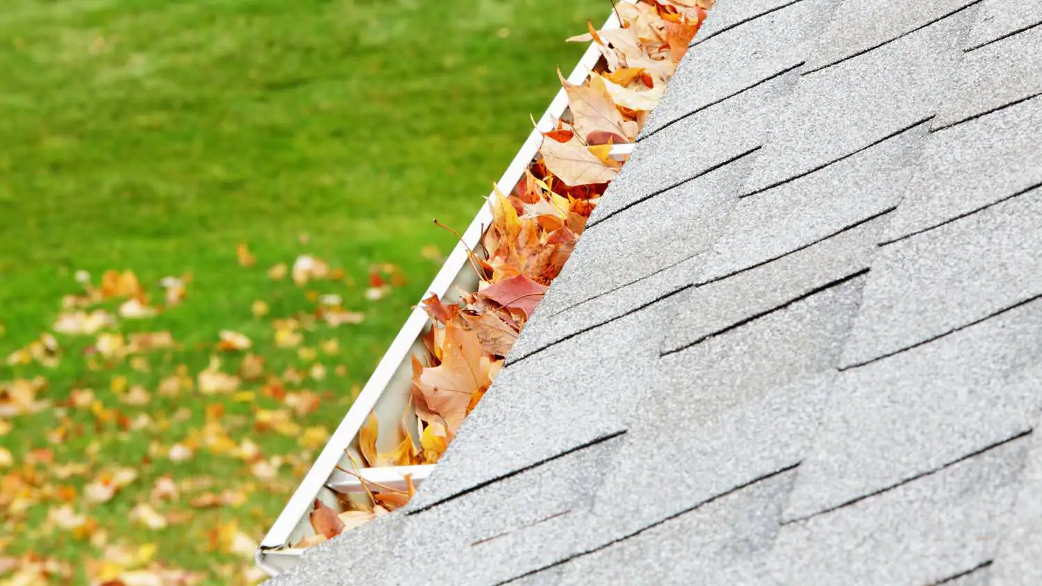 Clear Gutters