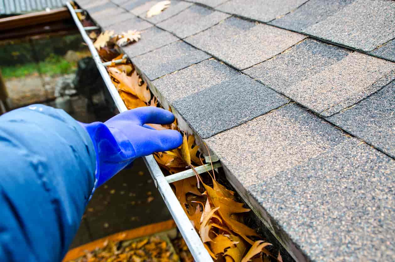 Gutter Maintenance